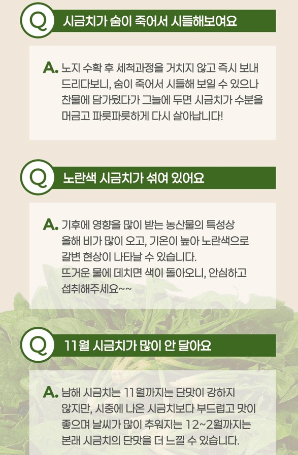 메종루엘님의 장터 판매 상품 [남해 시금치 (육지초)] 첨부 사진