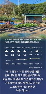 팜모닝 자유주제·자유게시판 게시글 이미지
