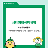 팜모닝 매일매일 농사공부·매일매일 농사공부 게시글 이미지