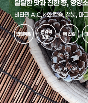 메종루엘님의 장터 판매 상품 [남해 시금치 (육지초)] 첨부 사진