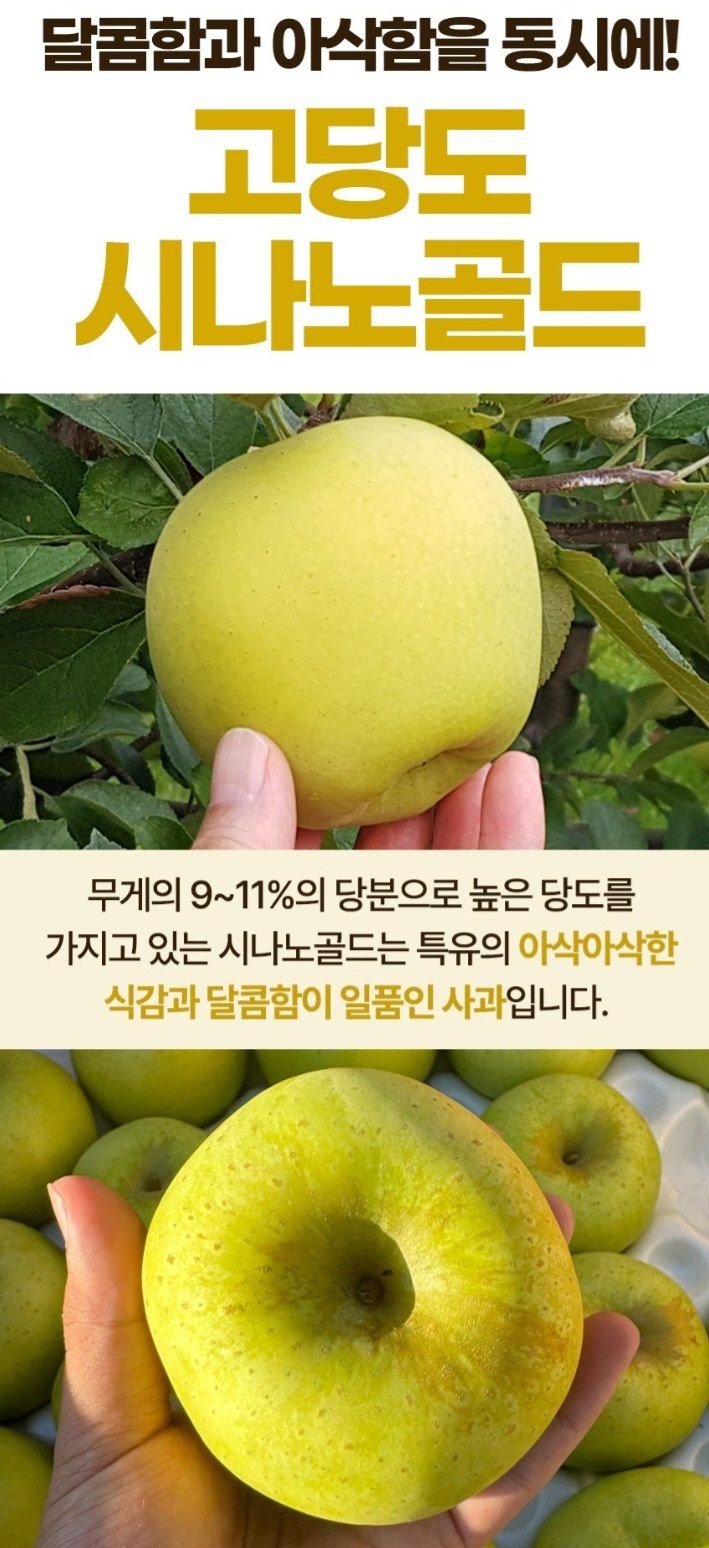자두14488님의 장터 판매 상품 [시나노골드 사과10kg 가정용 중대과] 첨부 사진