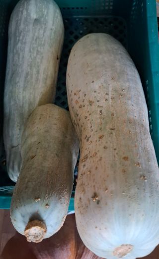 철남 김희곤님의 자유주제 · 자유게시판 작성글 사진