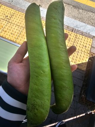 토마토수집가님의 자유주제 · 자유게시판 작성글 사진