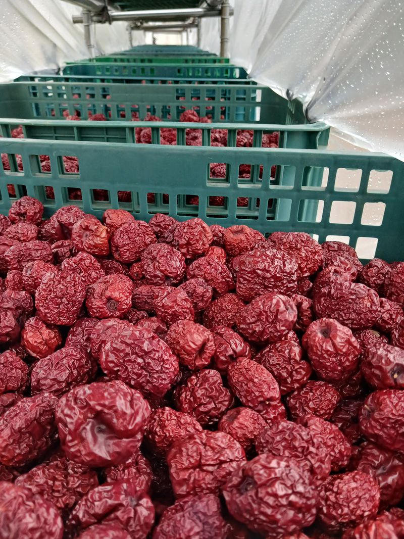 장터 상품 [건대추 (왕대추)1kg] 썸네일
