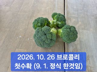 박성민님의 자유주제 · 자유게시판 작성글 사진
