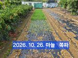 박성민님의 자유주제·자유게시판 작성글 사진