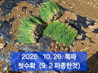 박성민님의 자유주제 · 자유게시판 작성글 사진