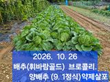 팜모닝 자유주제·자유게시판 게시글 이미지