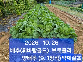 박성민님의 자유주제 · 자유게시판 작성글 사진