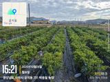 사천시향촌동 돼지띠님의 자유주제·자유게시판 작성글 사진