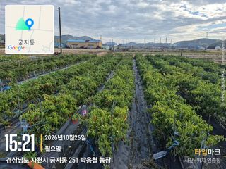 사천시향촌동 돼지띠님의 자유주제 · 자유게시판 작성글 사진