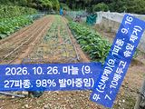 박성민님의 자유주제·자유게시판 작성글 사진