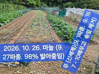 박성민님의 자유주제 · 자유게시판 작성글 사진