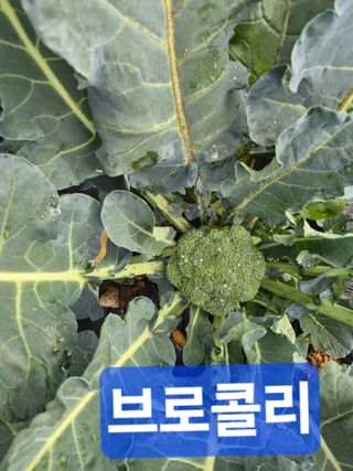 박성민님의 자유주제 · 자유게시판 작성글 사진