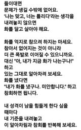 (팽나무*공주)님의 자유주제·자유게시판 작성글 사진