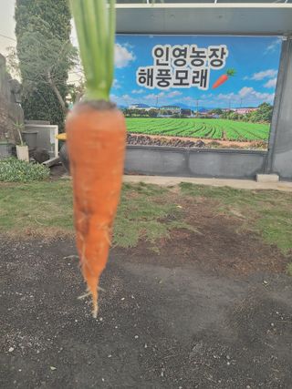 한경훈님의 자유주제 · 자유게시판 작성글 사진