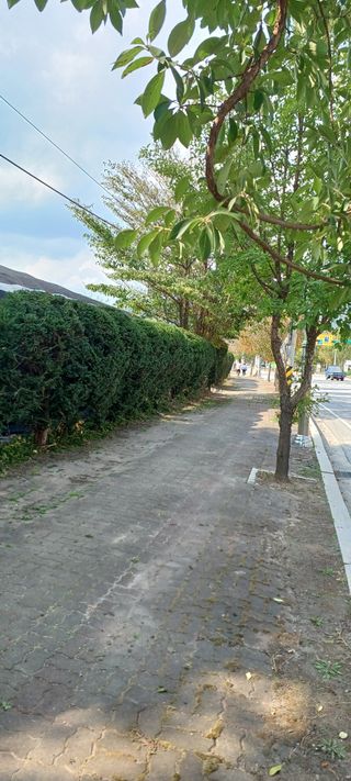 김국태님의 자유주제 · 자유게시판 작성글 사진