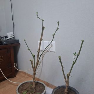 오영도님의 자유주제 · 자유게시판 작성글 사진