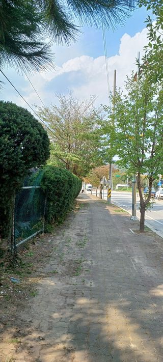 김국태님의 자유주제 · 자유게시판 작성글 사진