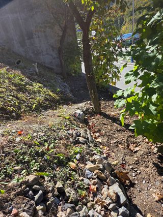 김용대님의 자유주제 · 자유게시판 작성글 사진