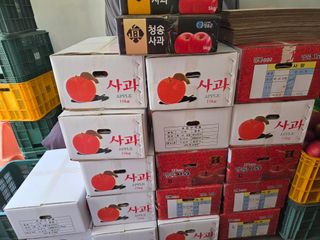 복숭아11454님의 자유주제 · 자유게시판 작성글 사진
