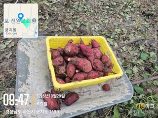사천시향촌동 돼지띠님의 자유주제·자유게시판 작성글 사진