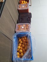 한상동님의 자유주제·자유게시판 작성글 사진