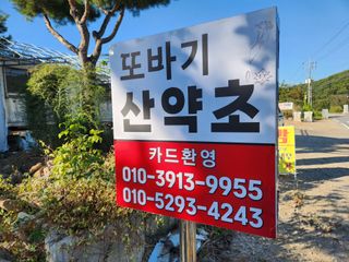 산약초농원님의 자유주제 · 자유게시판 작성글 사진