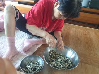 게으른뱅이잔디꽃님의 자유주제 · 자유게시판 작성글 사진