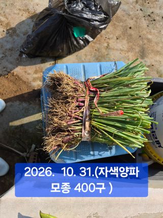 박성민님의 자유주제 · 자유게시판 작성글 사진