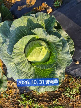 박성민님의 자유주제 · 자유게시판 작성글 사진