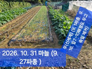 박성민님의 자유주제 · 자유게시판 작성글 사진