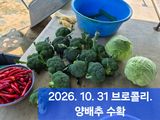 박성민님의 자유주제·자유게시판 작성글 사진