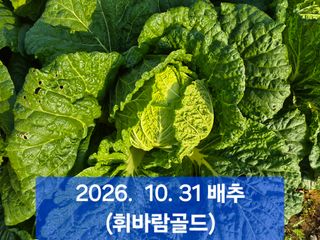 박성민님의 자유주제 · 자유게시판 작성글 사진