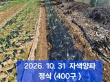 팜모닝 자유주제·자유게시판 게시글 이미지