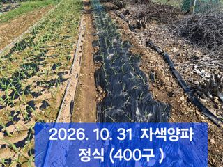 박성민님의 자유주제·자유게시판 작성글 사진