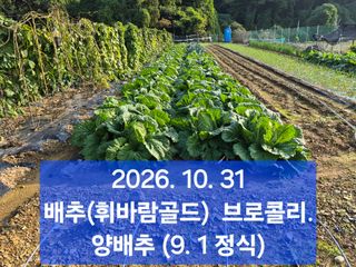 박성민님의 자유주제 · 자유게시판 작성글 사진