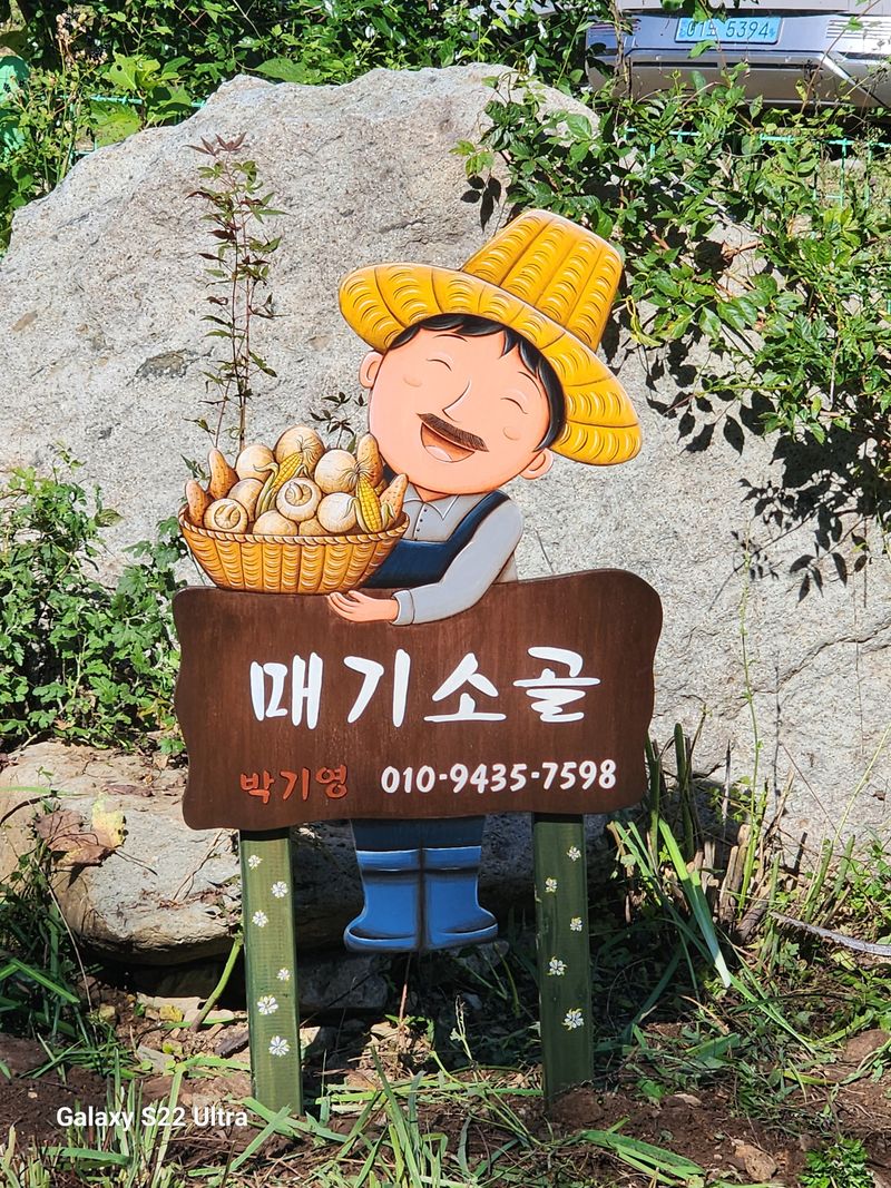 매기소골농장님의 프로필