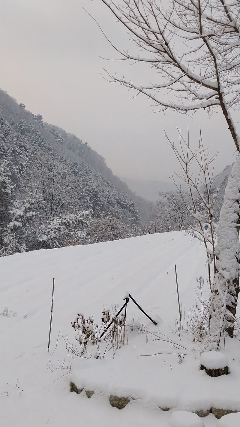 120260님의 프로필