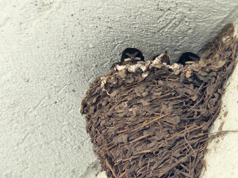 김재현님의 프로필