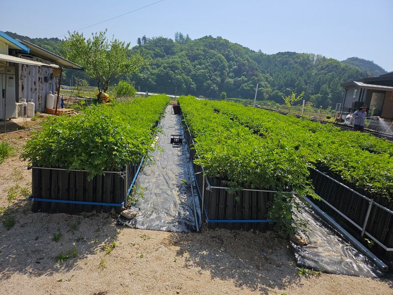 김금철님의 프로필