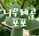 니무레골포포님의 프로필