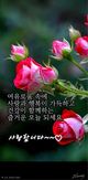 상추14941님의 프로필