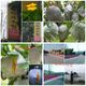 퍼피과수원님의 프로필