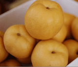 팜모닝 내 농사 경력 자랑하기·참여 게시글 이미지