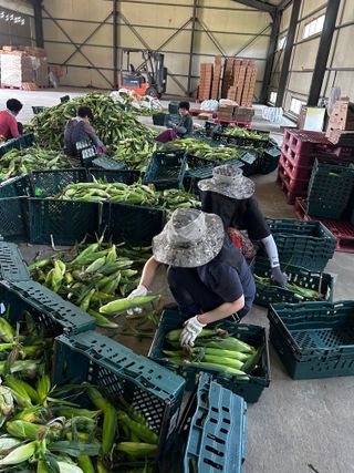 윤재성님의 내 농사 경력 자랑하기 · 참여 작성글 사진