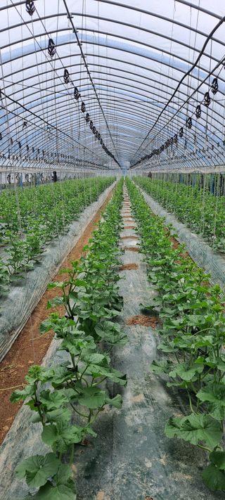 박춘서님의 기타작물 · 자유게시판 작성글 사진