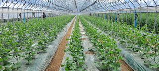 박춘서님의 기타작물 · 자유게시판 작성글 사진