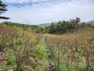 홍승한님의 내 농사 경력 자랑하기 · 참여 작성글 사진
