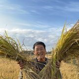 팜모닝 내 농사 경력 자랑하기·참여 게시글 이미지